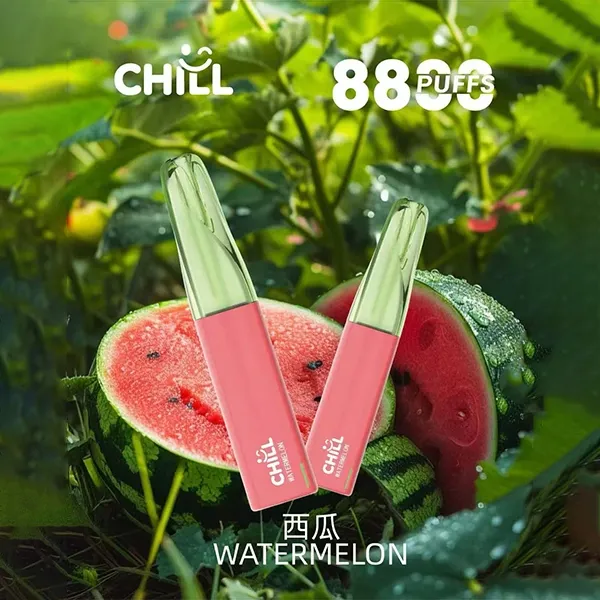 鴨嘴獸一次性電子煙8800口 西瓜